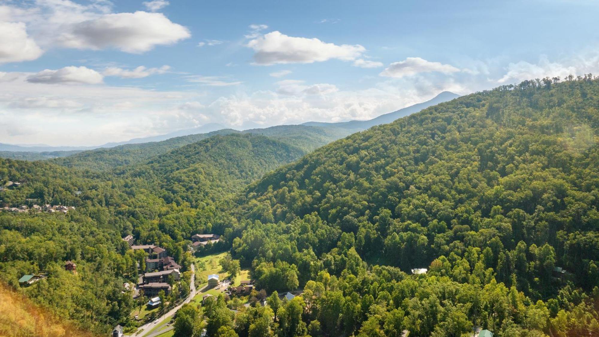 Baloo'S Bungalow Gatlinburg Kültér fotó